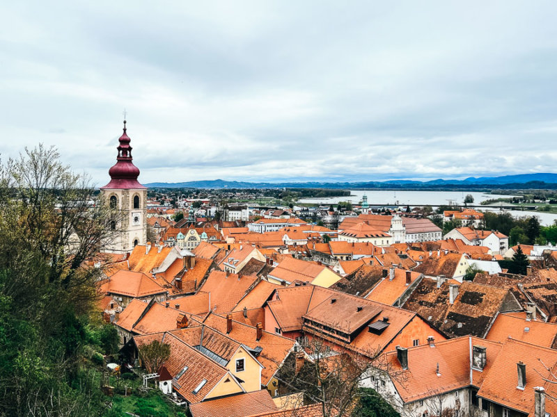 burg-ptuj-blick