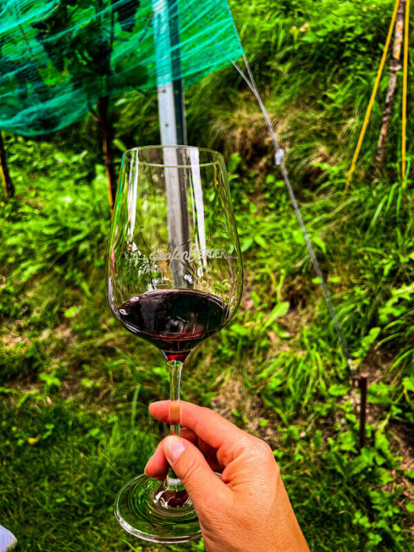 Weinverkostung bei der Weinbergwanderung im Mölltal