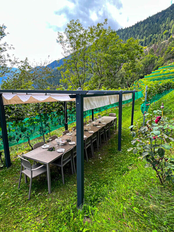 Festlich gedeckte Tafel mitten im Weinberg